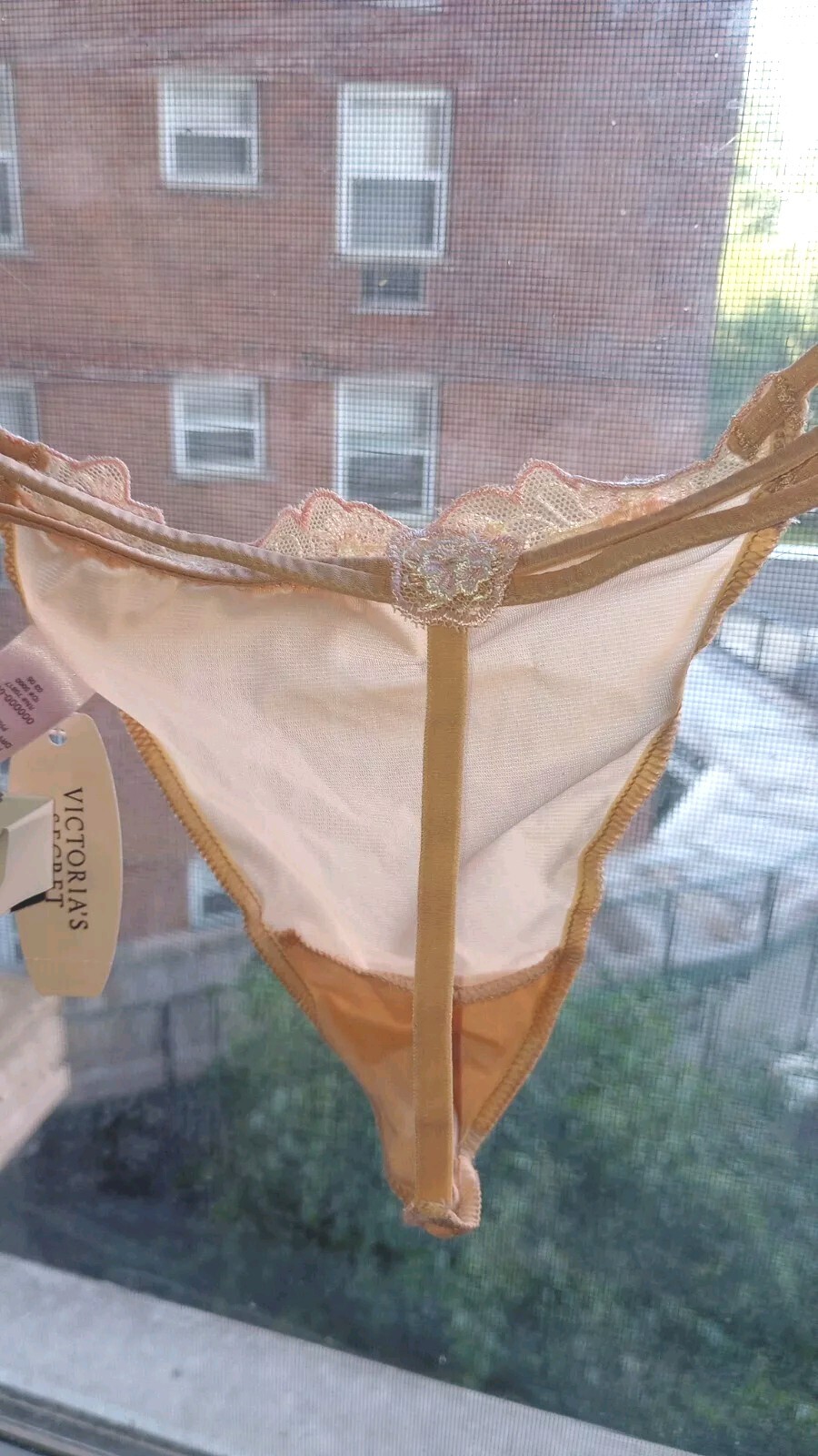 Victoria’s Secret Angels Rare Bow Embroidery Mesh V-String Panty Sheer Nude 2006