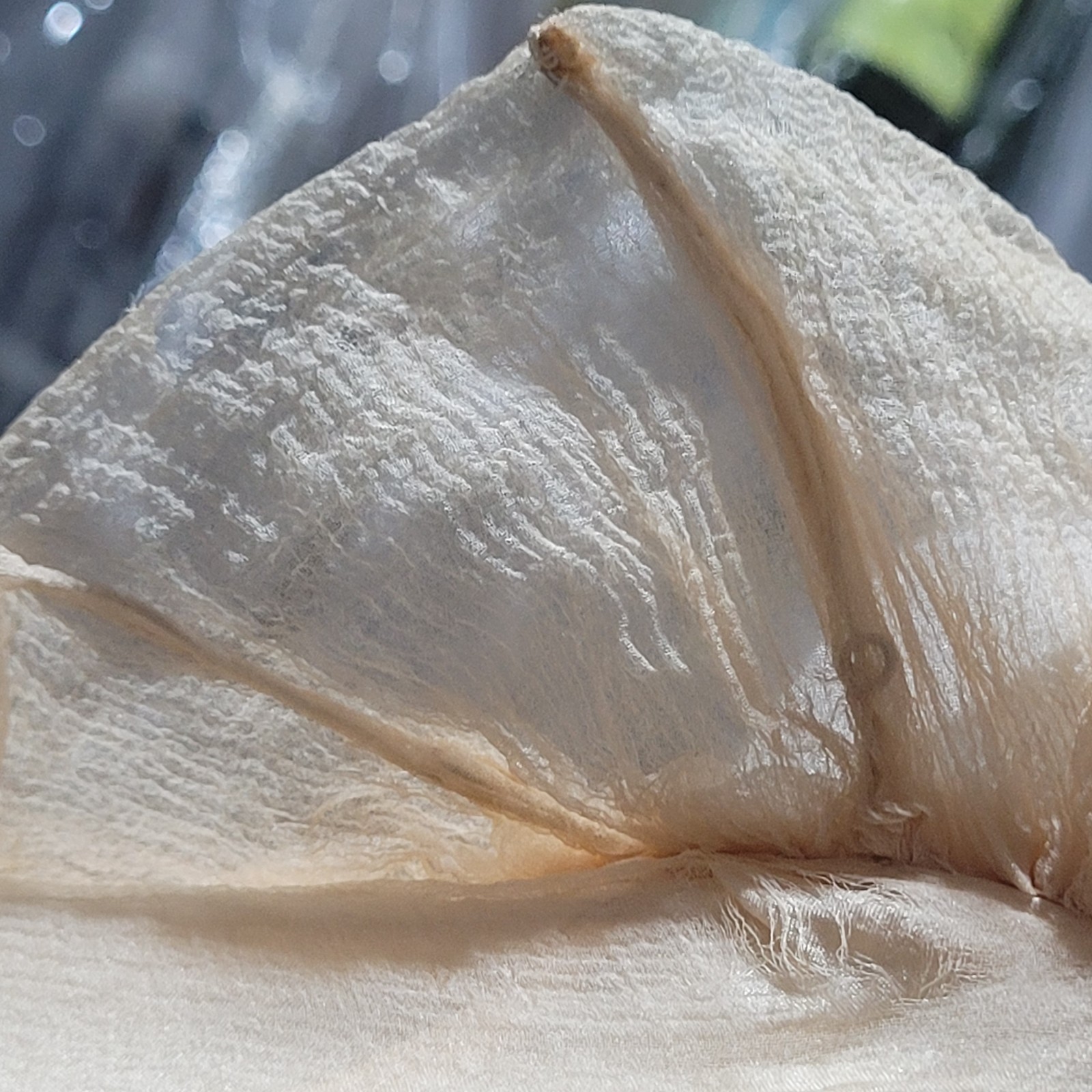 Antique Regency Sheer Muslin Bolero Peach Ruffles c.1800s Lingerie Cover-Up