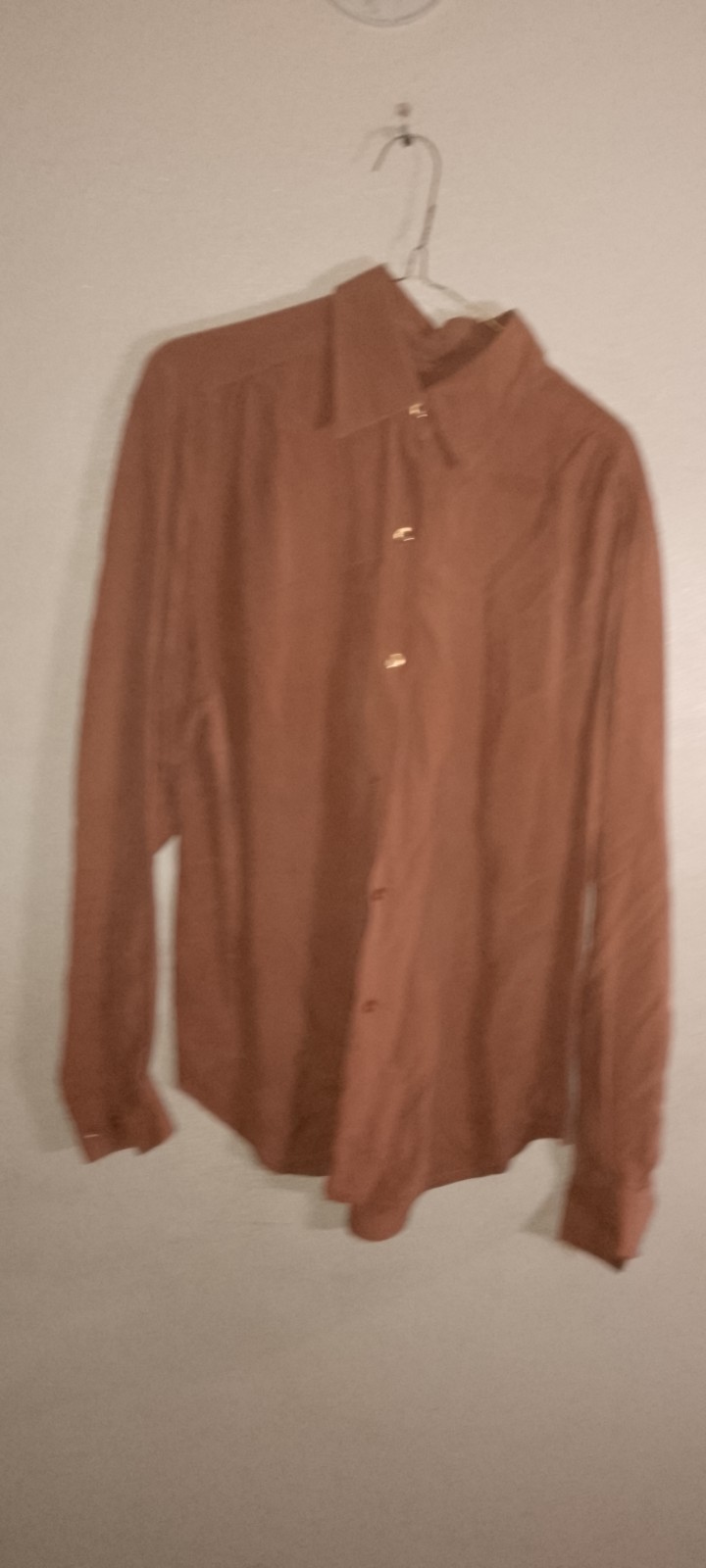 Vtg,FAGI Women’s LG,Refined Silk, Button Down Long Sleeve, Terracotta,Old Money