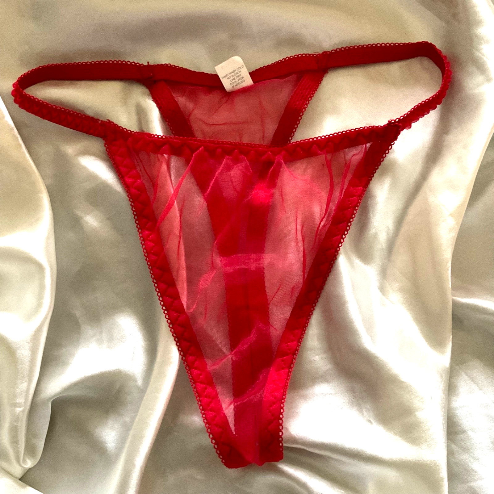 Vtg SHEER Chiffon Nylon String Bikini panties Size Large