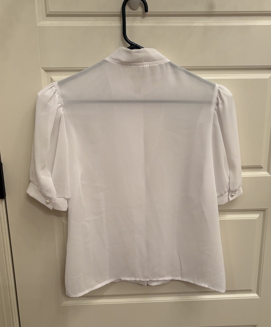Vtg 50’s white sheer nylon chiffon embroidered secretary geek tailored blouse