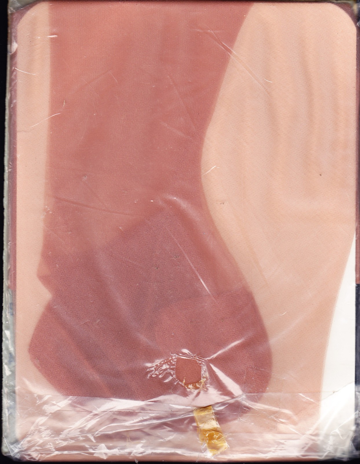 Size 10 – 32 Very nice pair of VINTAGE NYLON STOCKINGS – Superb Graphics