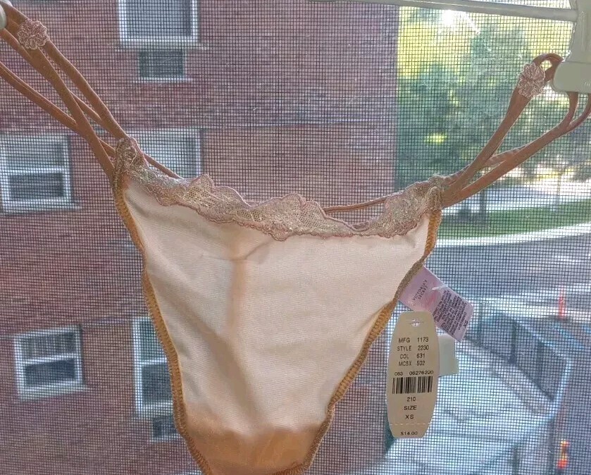 Victoria’s Secret Angels Rare Bow Embroidery Mesh V-String Panty Sheer Nude 2006