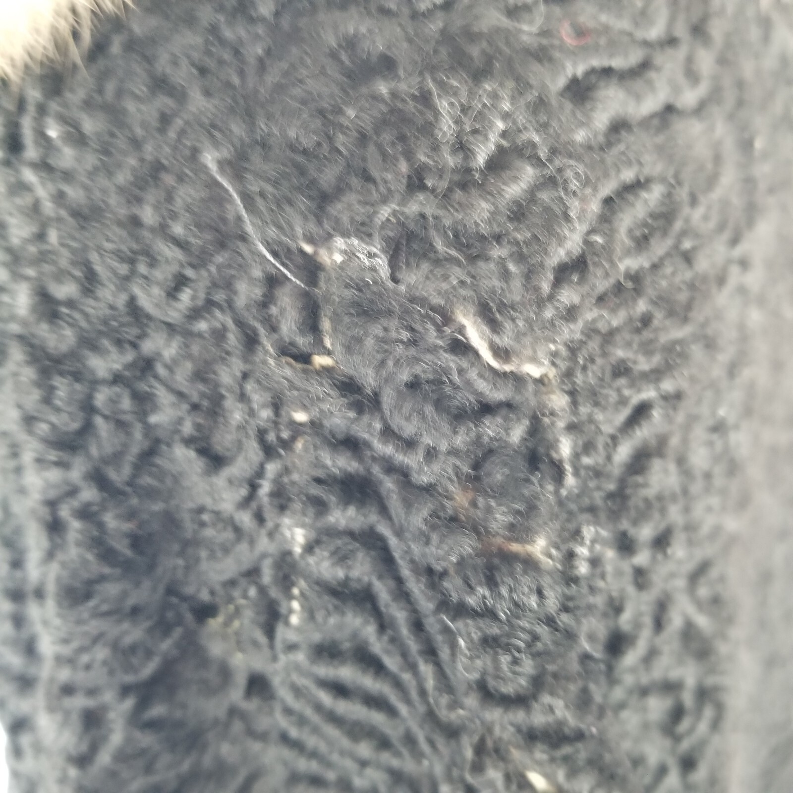 Vintage Black Wool and Mink Coat Short Opera Jacket Size M/L 1950s/60s FLAW