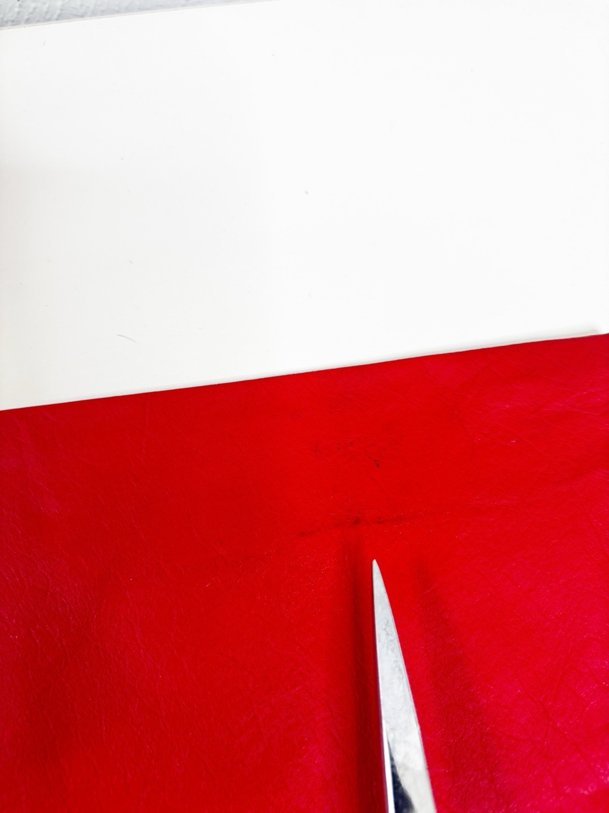 VTG Red Leather Argentina Pants (Actual Size 24×27) High Rise Taper Leg EUC