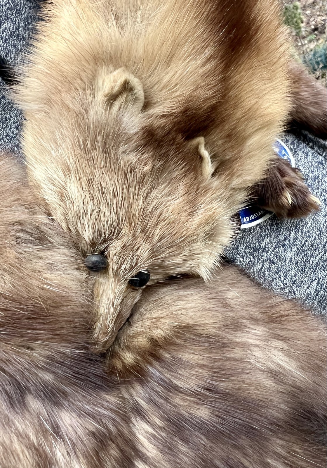 VINTAGE 1930’s LUXURIOUS BROWN SABLE FUR STOLE