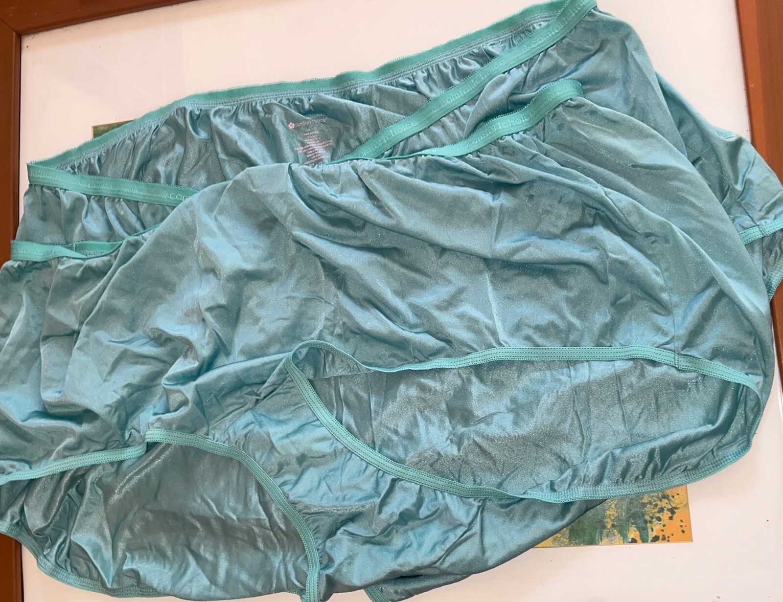 2 Panties Nylon size 16X plus, Comfort Choice Panties