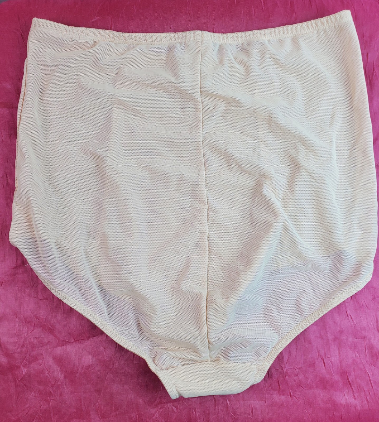 Vtg Panty Girdle Sz 16 Lace Mesh Sculpting Granny Cincher Brief Sissy Pin-up