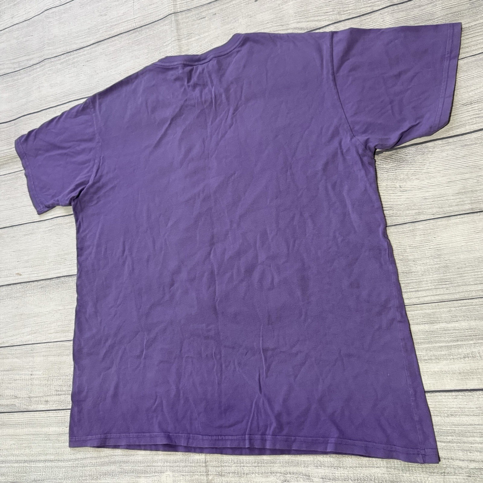 Junk Food Nestle Crunch Graphic T Shirt Size Large Purple Retro Kidcore 2010 HTF