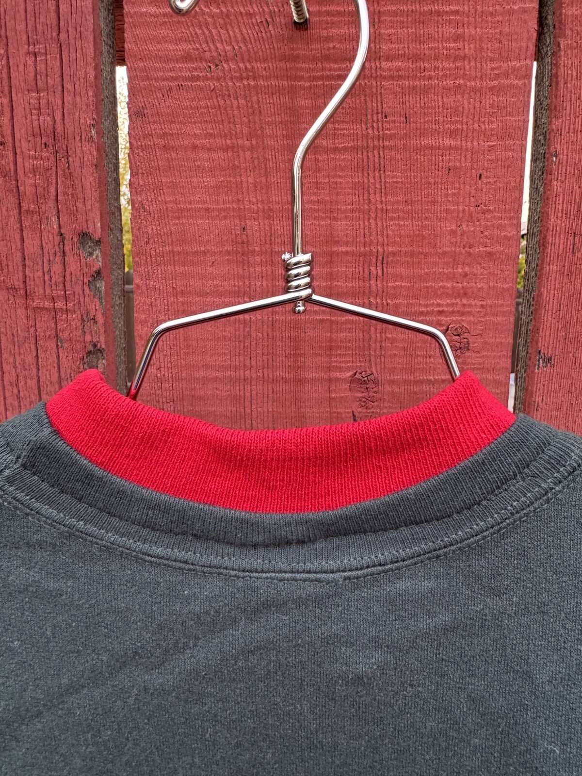 Vintage Kitten Puppy Dogs Cats Sweatshirt 80s 90s Apple Harvest Grannycore Fall