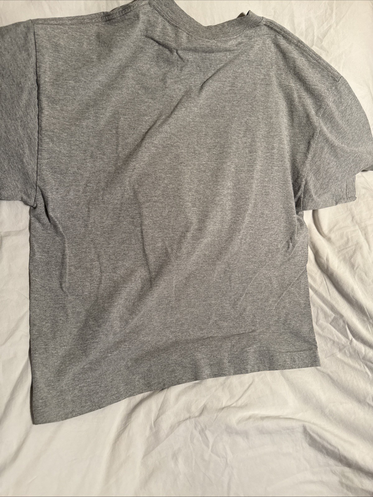 Walt Disney World Where Dreams Come True Gray T Shirt Cast Characters XL 22×26
