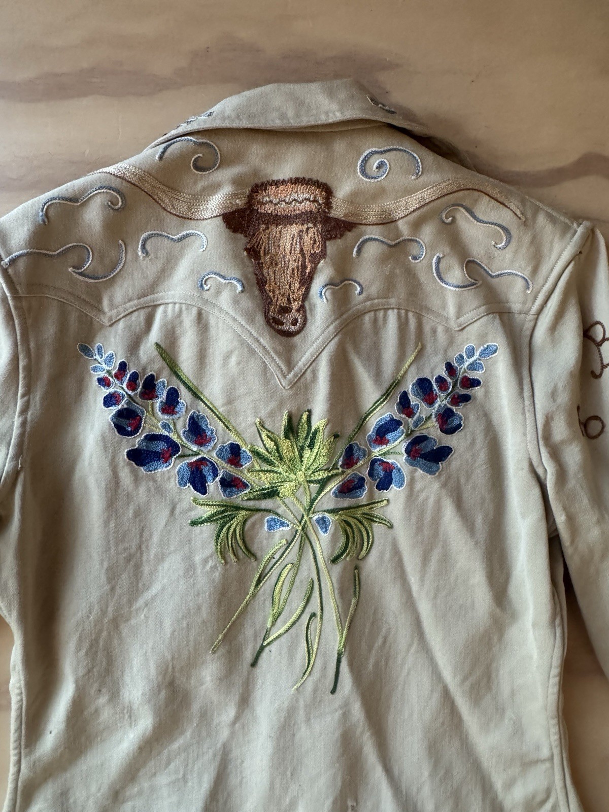 Vintage Vaquero Embroidery Western Western Shirt, Snaps Gorgeous, Distressed