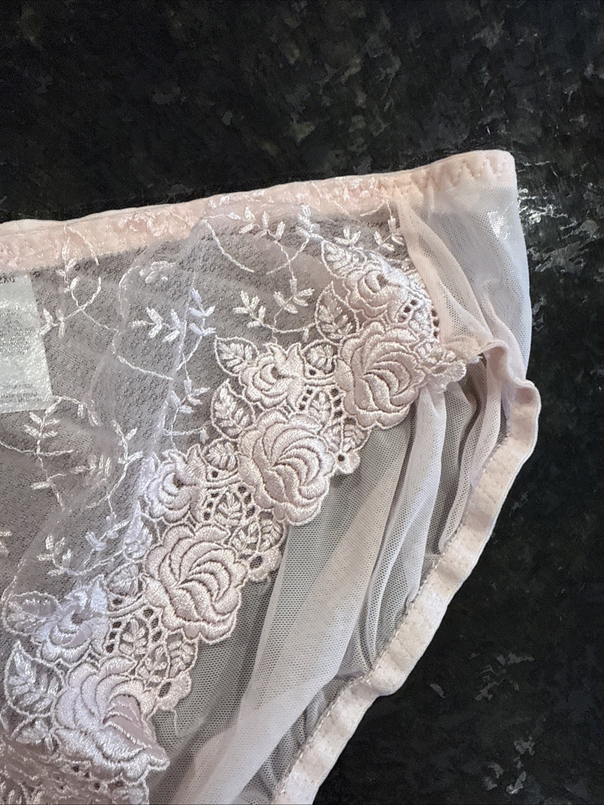 Vintage DELICATES Sheer Mesh and Lace Bikini Panties 2XL