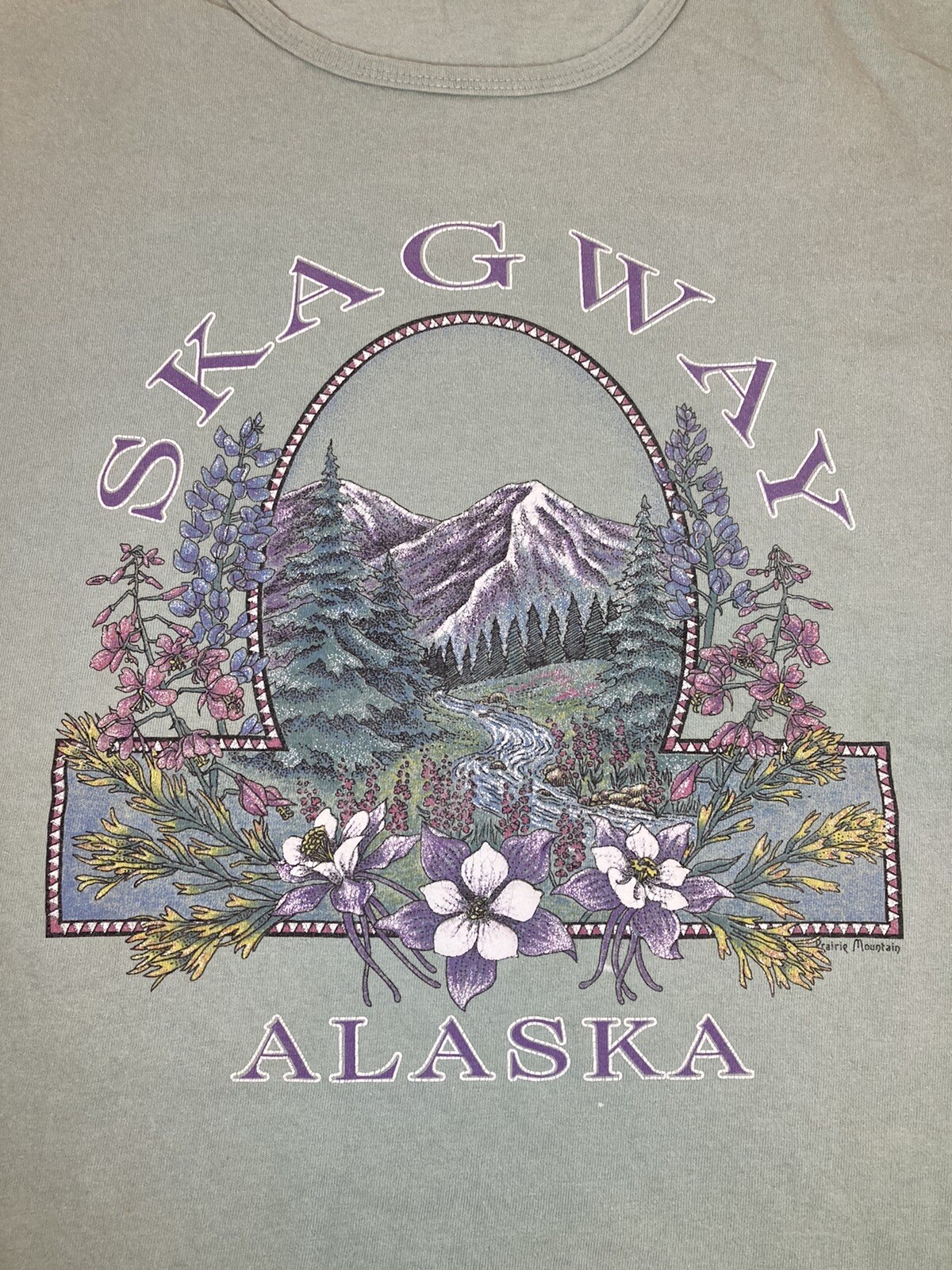 Vintage Single Stitch Skagway Alaska Prairie Mountain Floral Graphic T-shirt XL