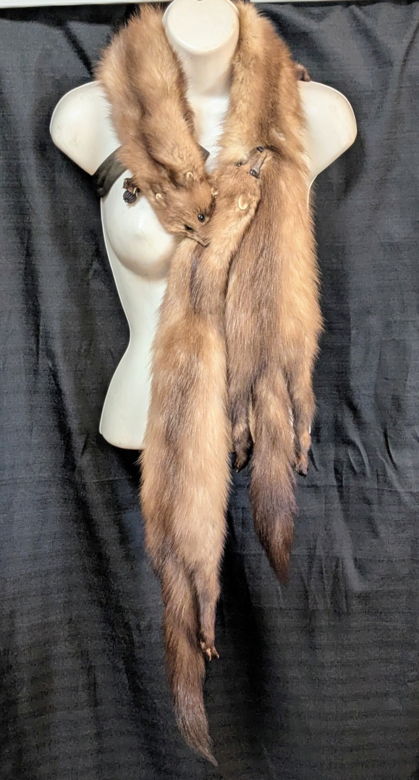 Fabulous VTG Collectible MINK SABLE FUR 3 FULL BODY PELTS Stole WRAP #2