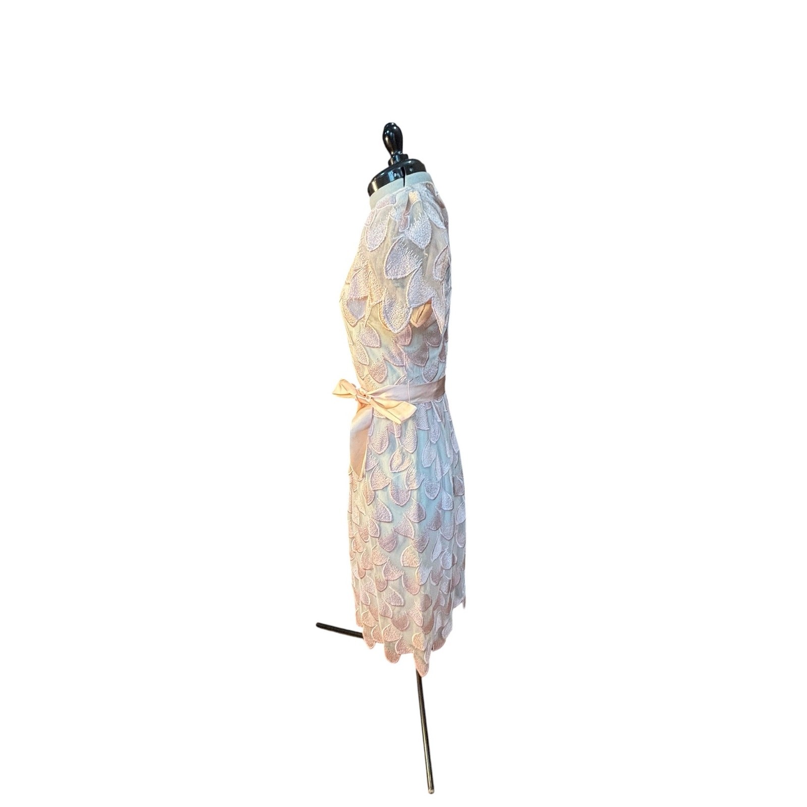 Pastel Petal Appliqué Dress Puff Sleeve Sheer Overlay William Pearson 80s Party