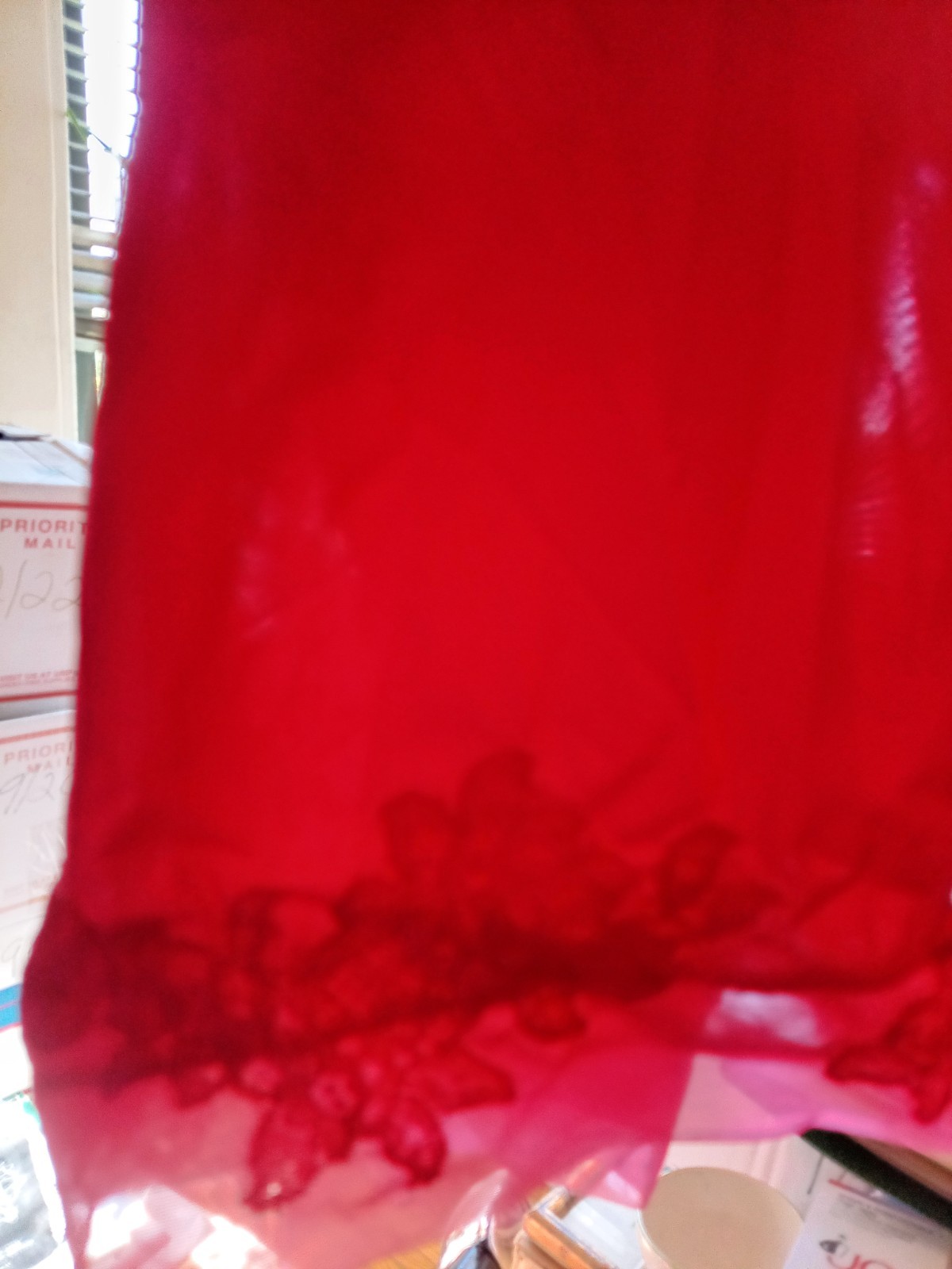 Suavette 50’s Vintage Van Raalte All Nylon Half Slip Red Lace Chiffon Skirt