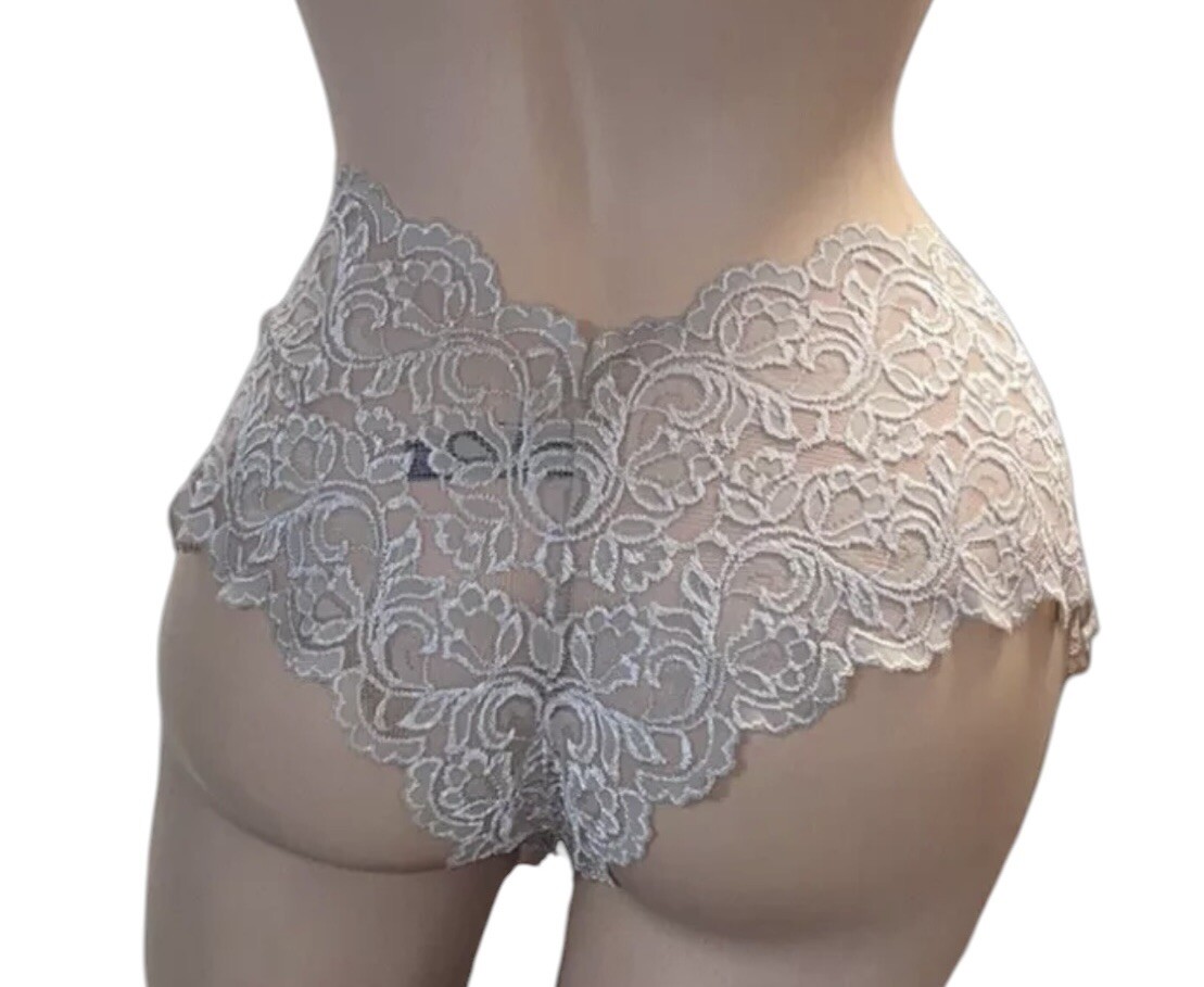 SMART & SEXY Beige Lace Sheer Cheeky Boyleg Nylon Panties Womens 9 NWT