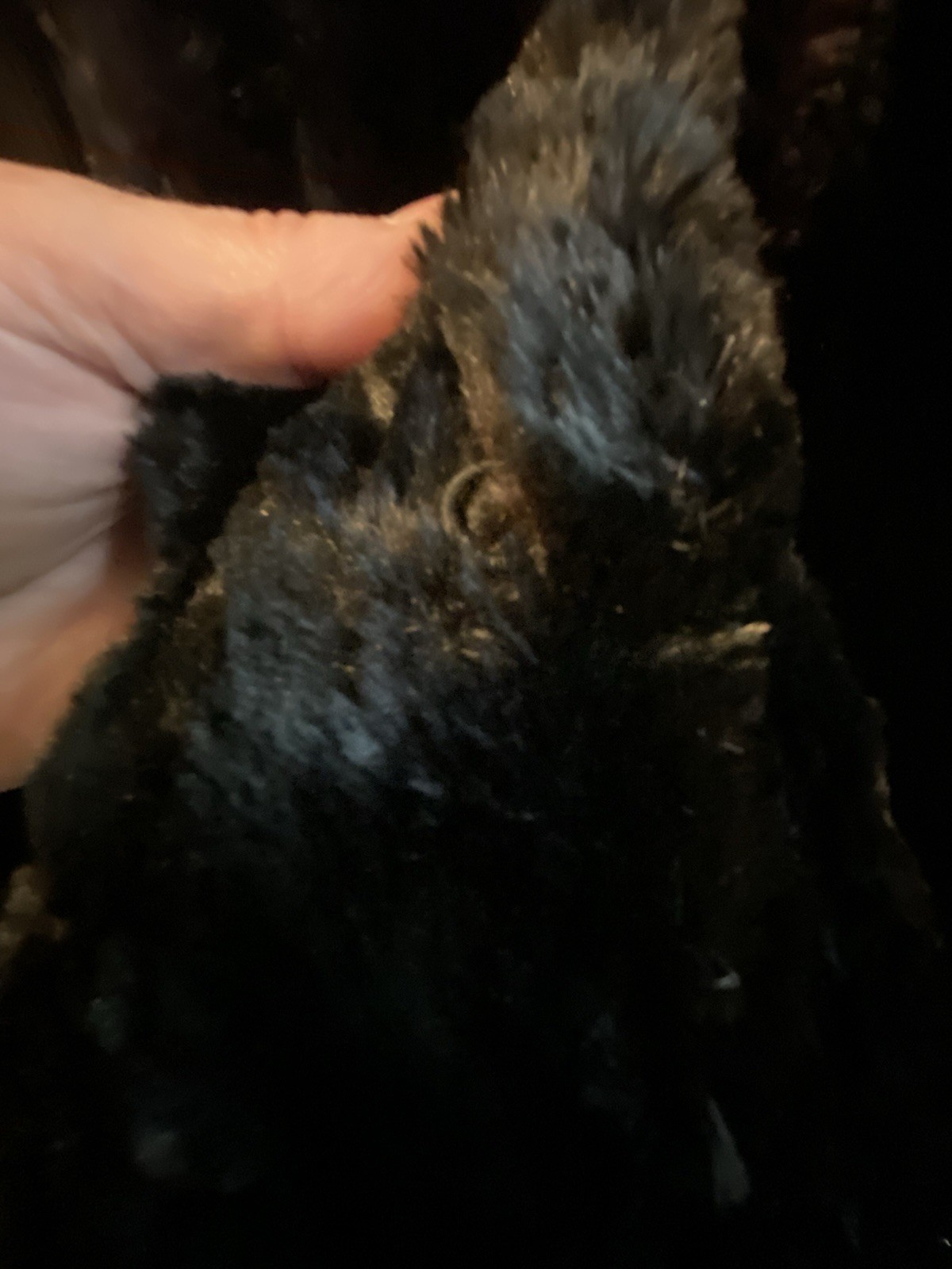 VINTAGE Genuine Rabbit Fur Coat Northgate Fur Co Black Size L GORGEOUS & RARE