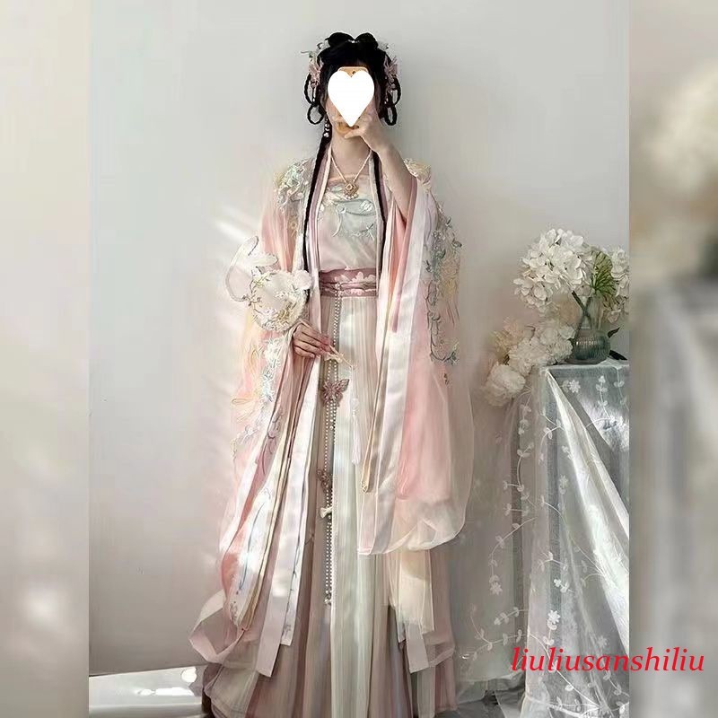 Ancient Chinese Traditional Women Song Dynasty Embroidery Print Hanfu Dress