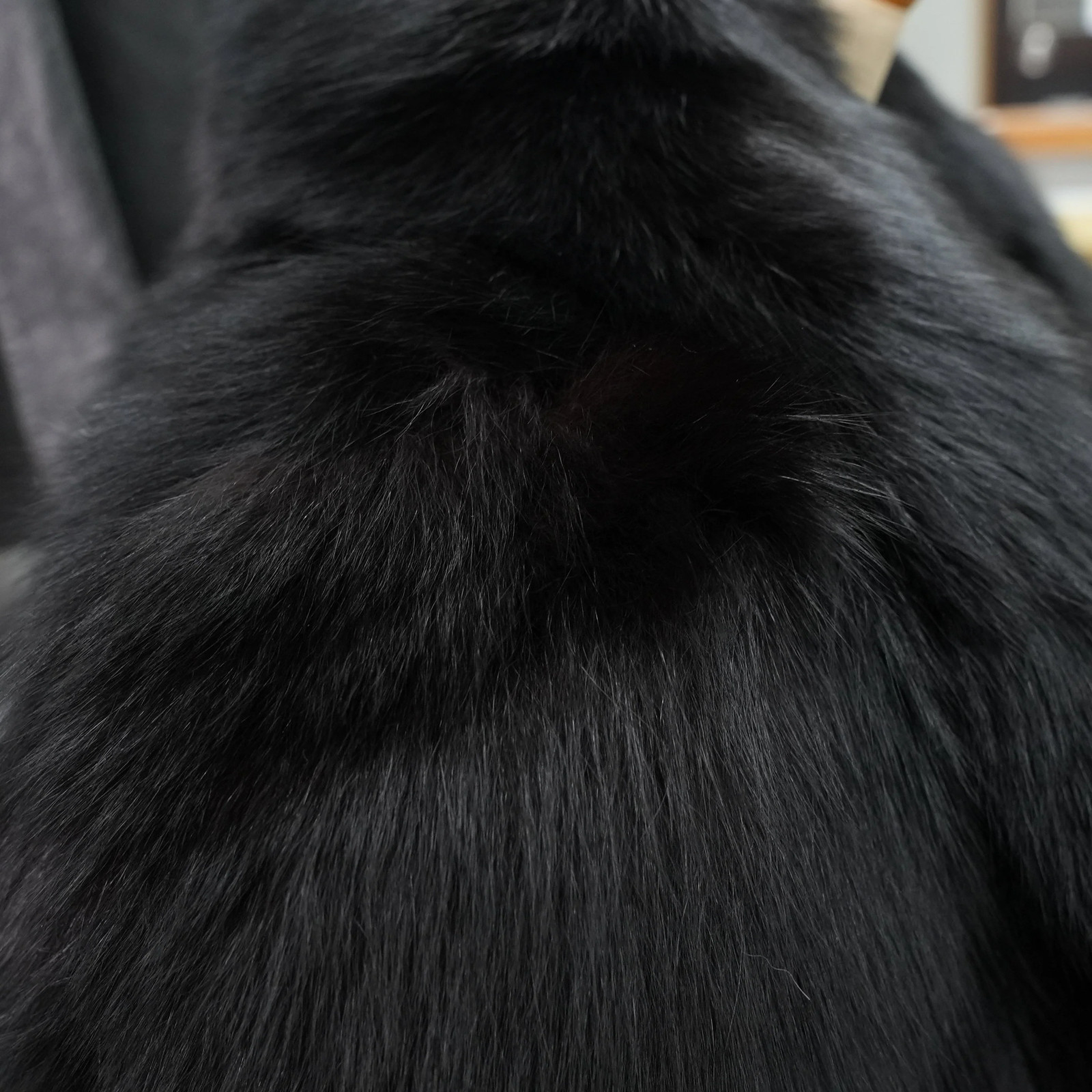 SAGA ROYAL FOX Black Dyed Coat – Genuine Vintage Fur From Japan