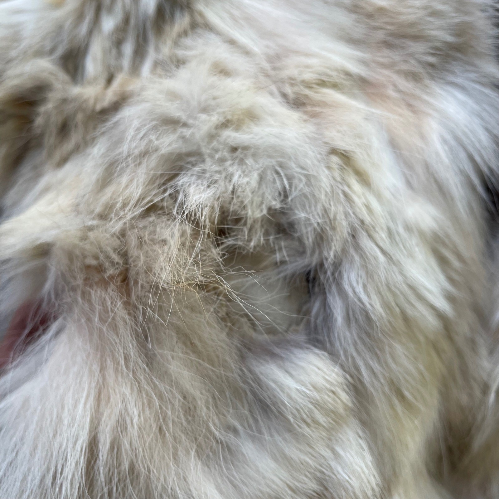 Vintage Genuine Fox Fur Coat Cream Tan Mid-Length Shawl Collar Distressed Flawed