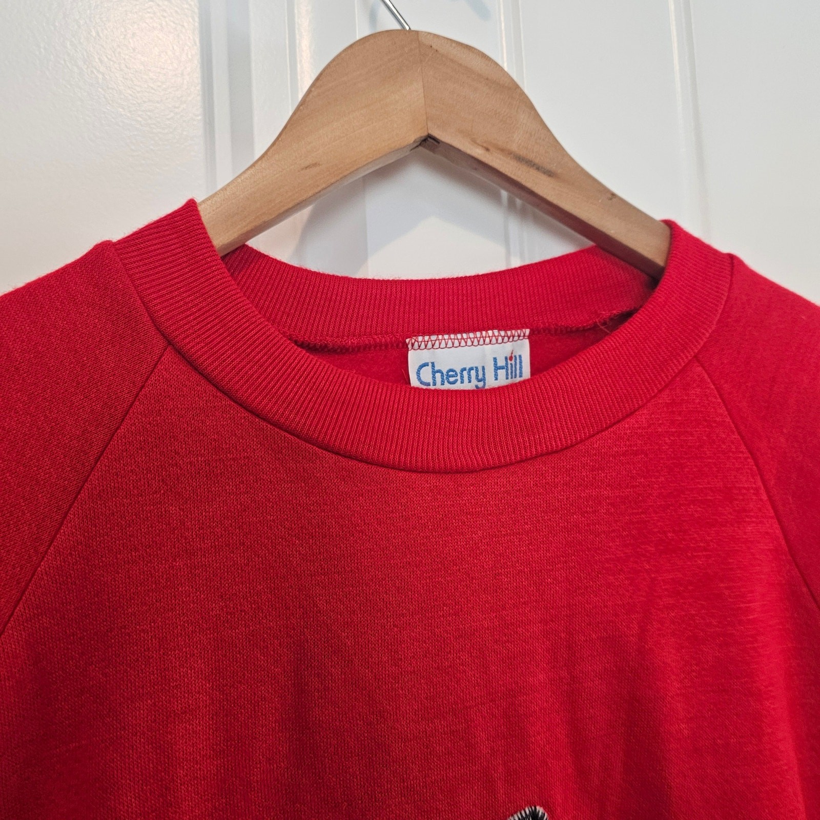 Vintage Racoon Sweater Women Lg Red Skateboard Skater Cottage Preppy Whimsical