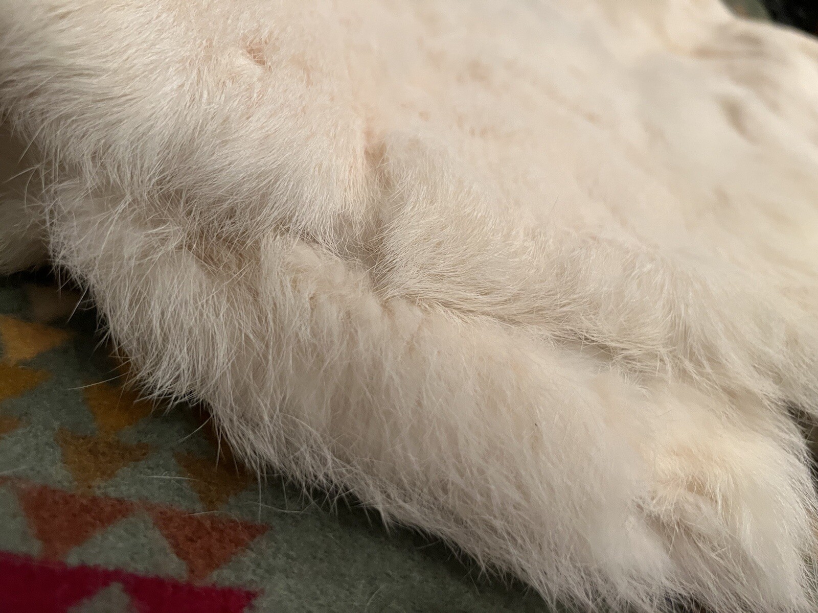 EUC🔥 Safuron Natural Rabbit Fur From France Made in Hong Kong Size L Women’s