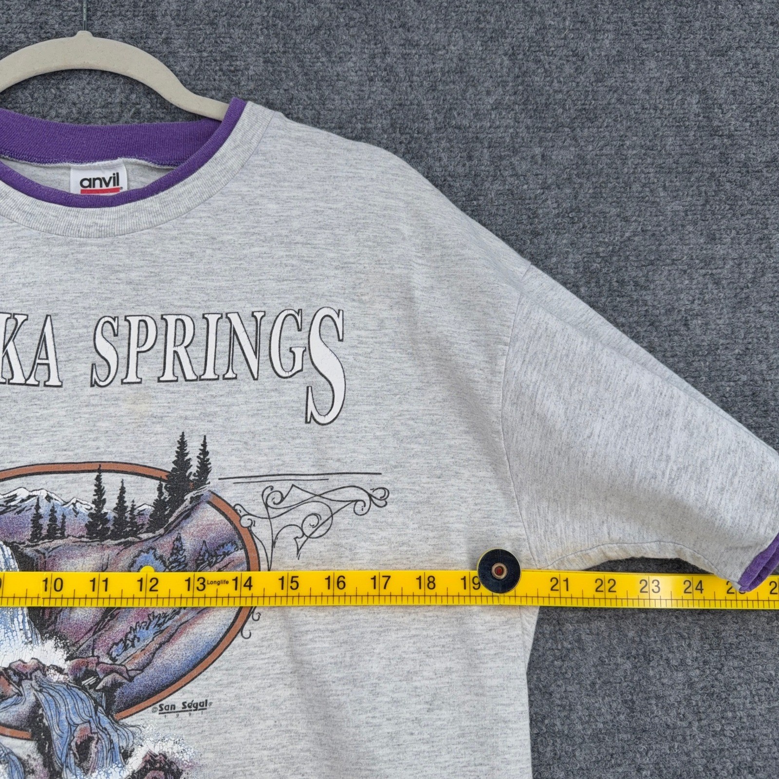 Anvil Eureka Springs Graphic T Shirt Womens Large Gray Purple Waterfall 1991