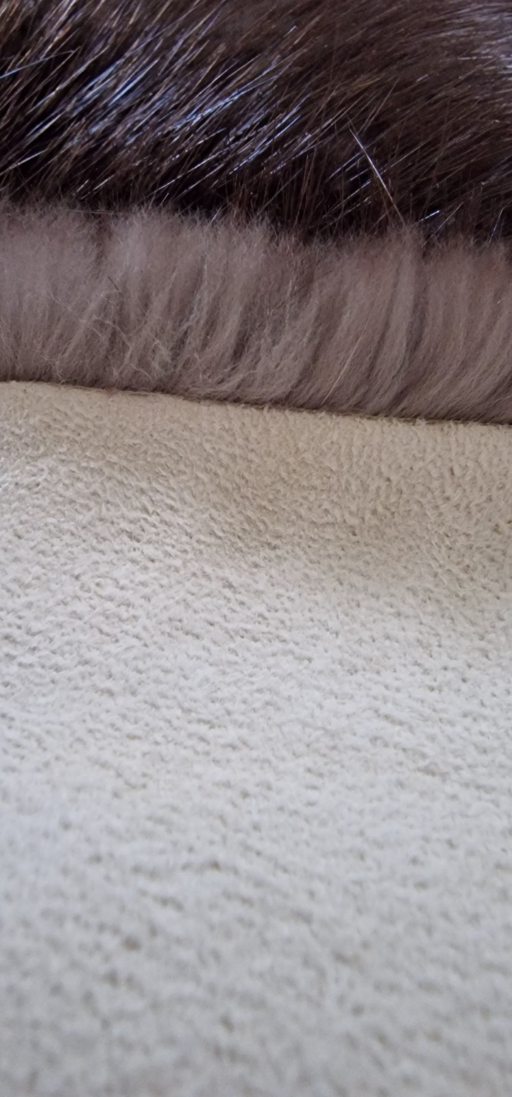 Europen Beaver fur/Profesional Tanned/Natural color/Very Soft, Warm and Flexible