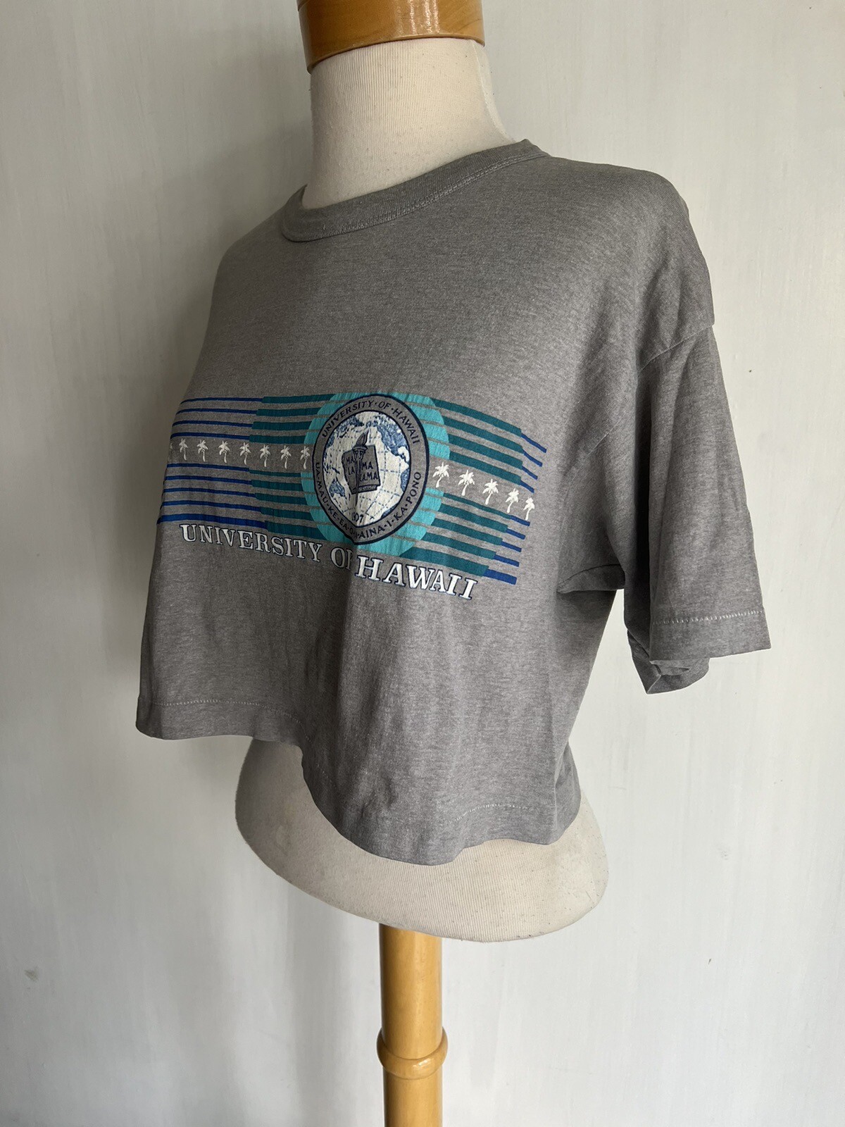 UNIVERSITY OF HAWAII Vintage 80s Design Tees Crop Top T-Shirt Size M/L (XL)