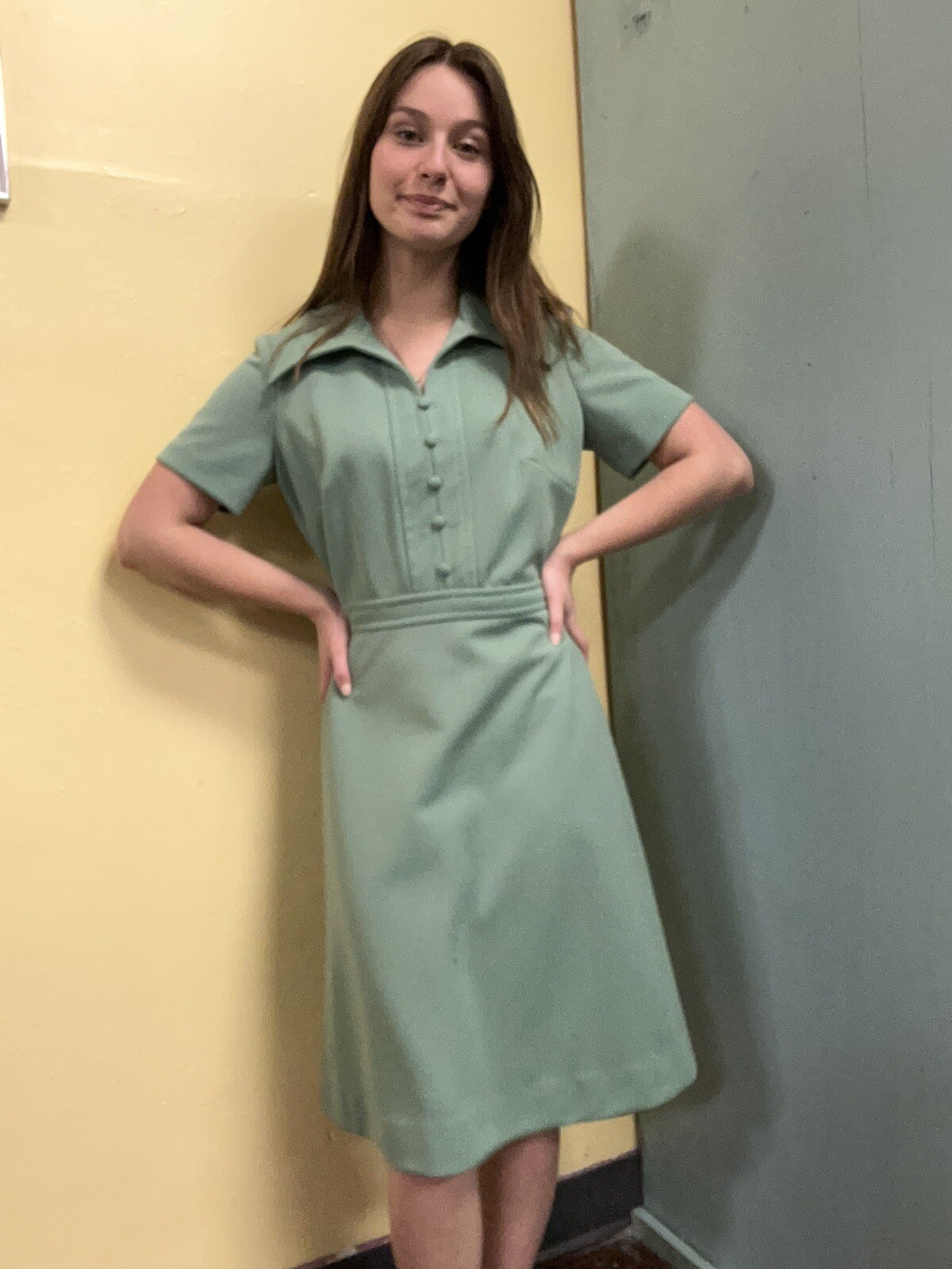 Vintage 70s Jerrie Lurrie Green Polyester Dress S