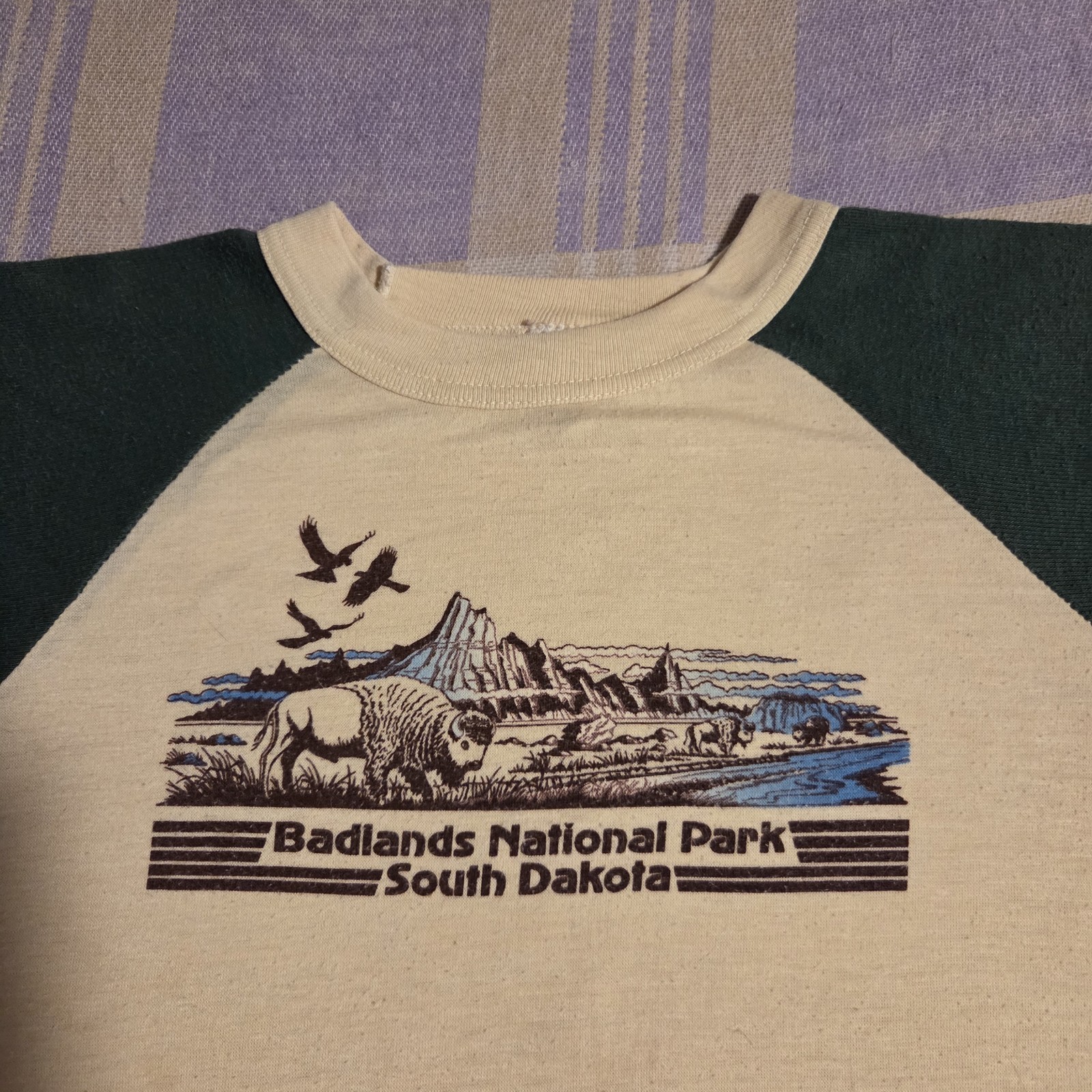 Vintage 80s Badlands National Park South Dakota Graphic T Shirt USA Hiking Women