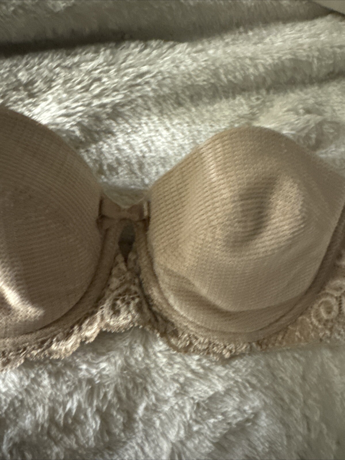 Vintage Warners Strapless Underwire Beige lace Sides Bra 30B