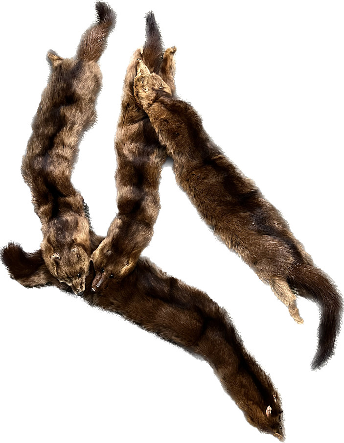 Vintage Real Mink Stole 5 Pelts Whole Body Fur Brown Wrap Collar Scarf .
