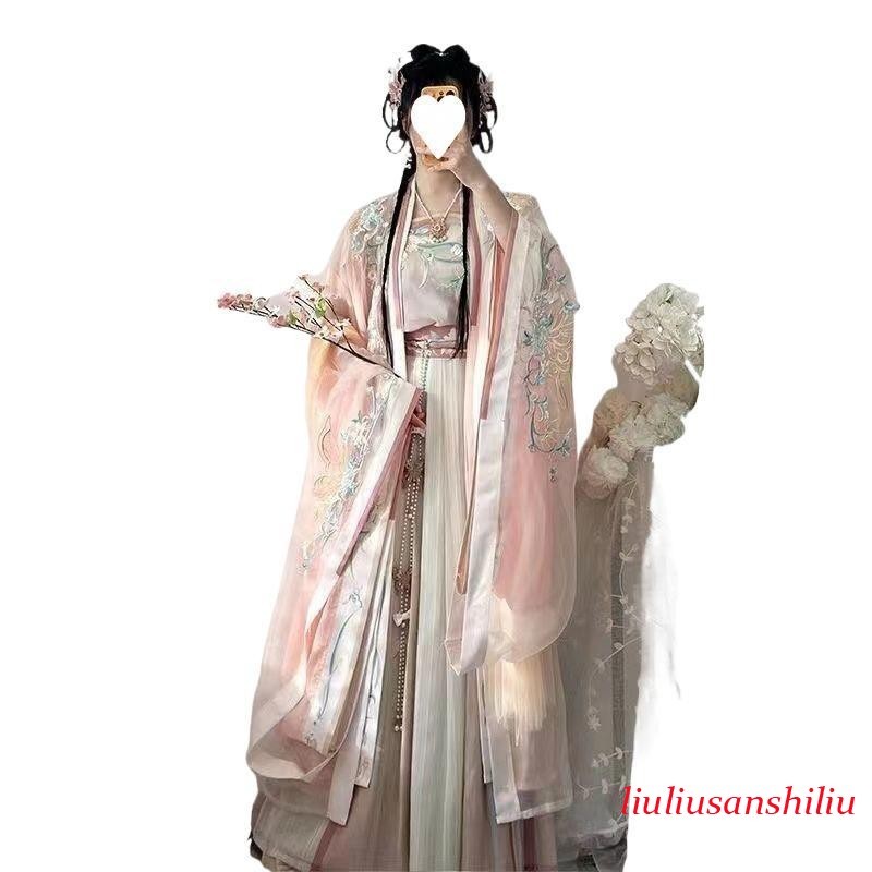 Ancient Chinese Traditional Women Song Dynasty Embroidery Print Hanfu Dress