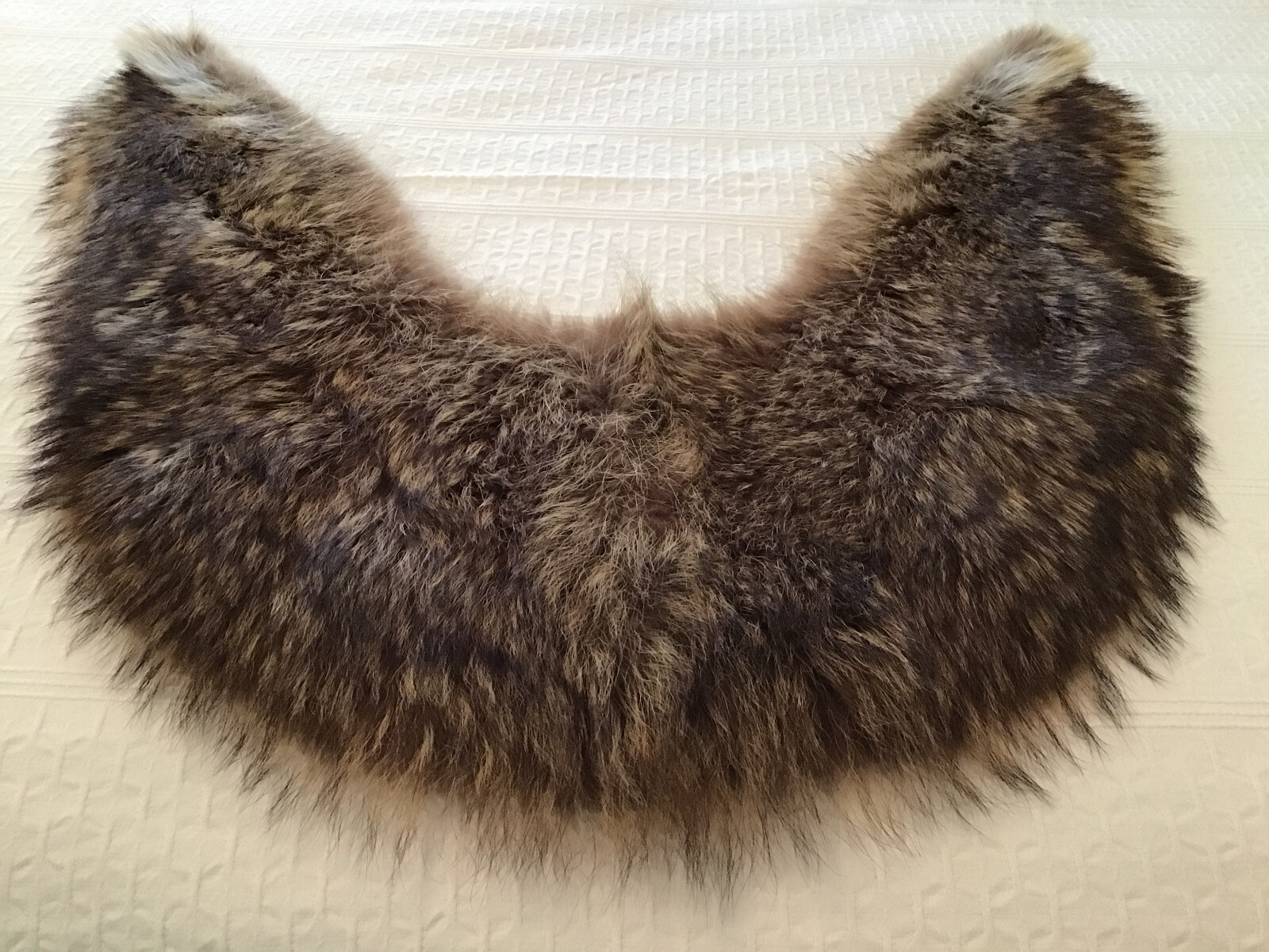 Vintage Large Raccoon Fur Coat Collar from 1940s Length is 48″ x 9″ Wide
