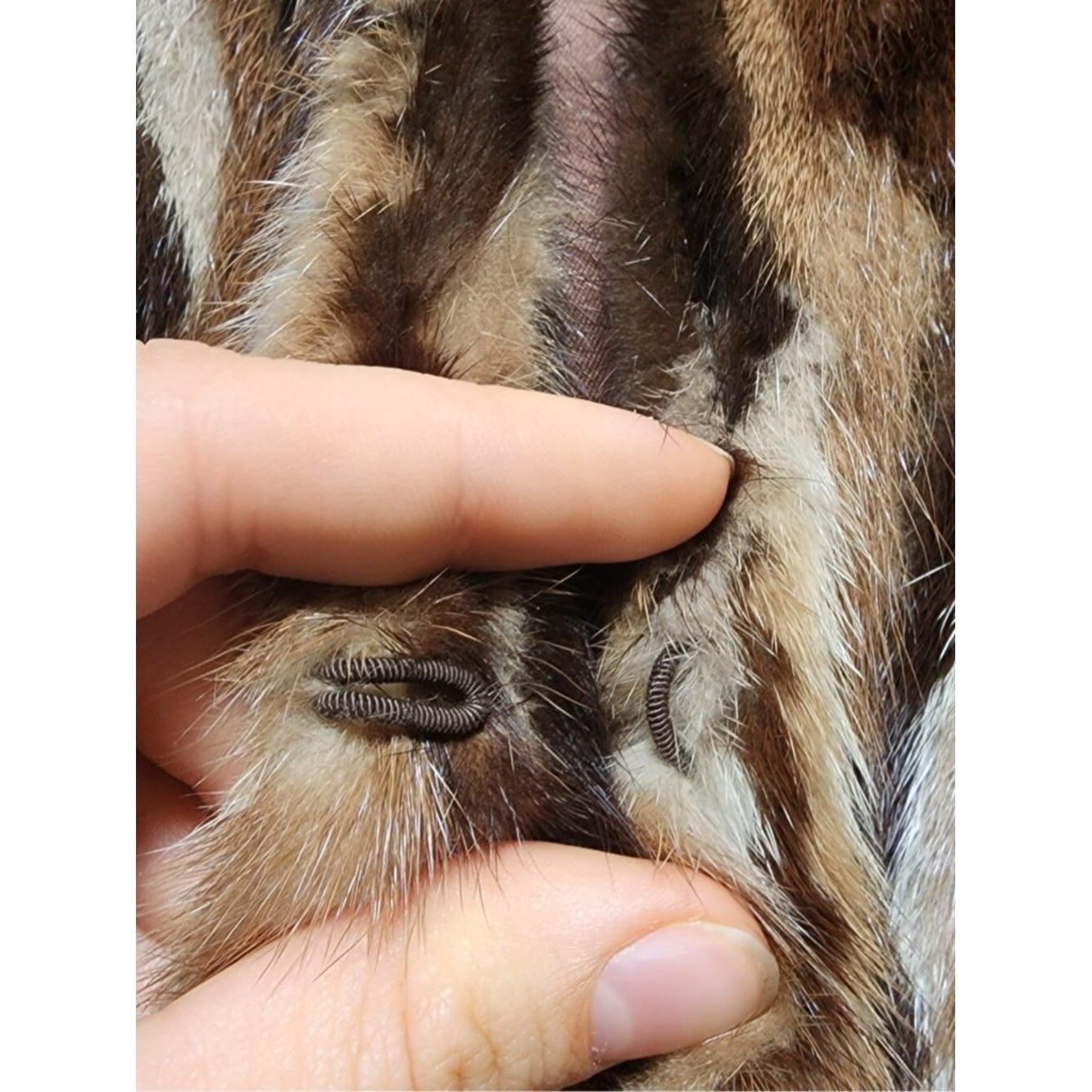 Vintage Schiaparelli Paris Pieced Mink Fur Coat Brown Patchwork Fur Jacket Women