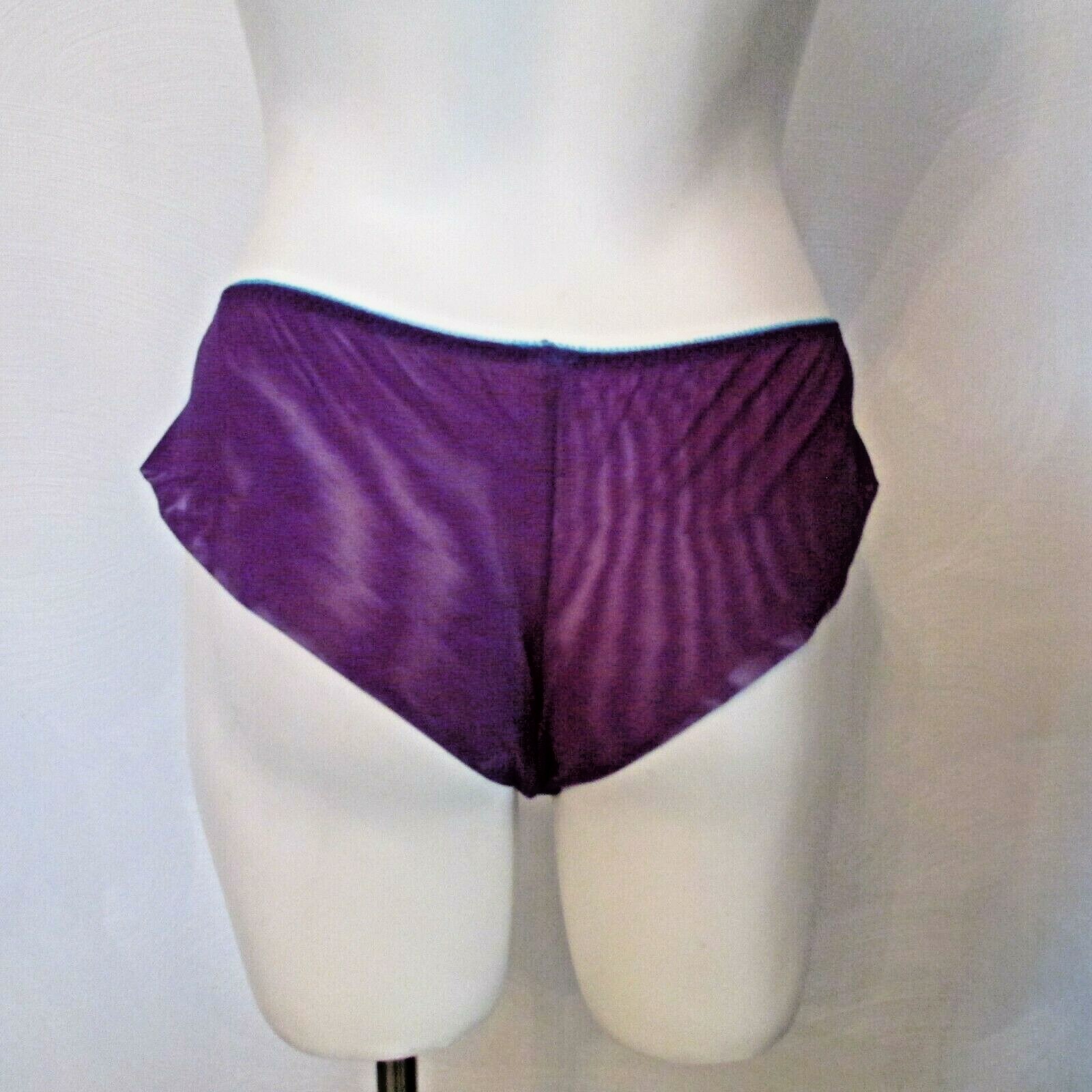 Victoria’s Secret Purple Mesh back Chantilly Lace Front Hiphugger Bikini Panty M