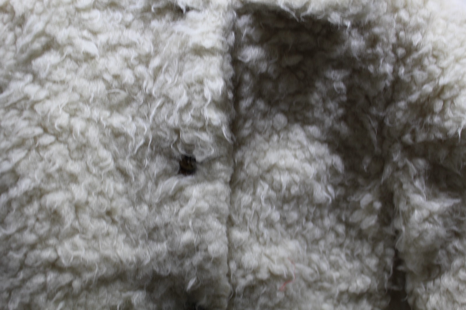 1970s Mongolian Curly Lamb Shearling Fur Coat, XS 4-6