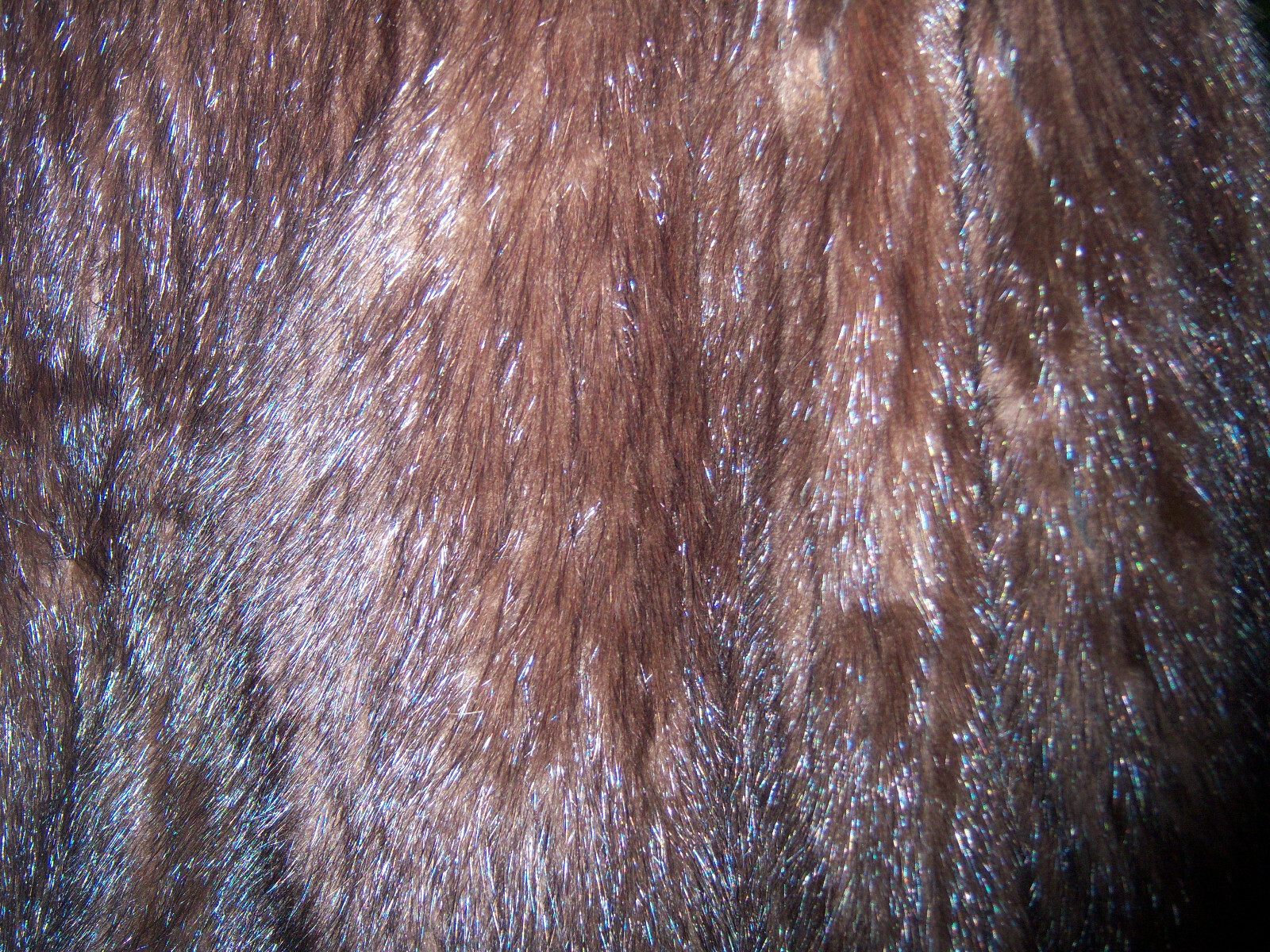 VTG SHARP!! RETRO TRENDY RETRO Hudson’s Fur Salon Beaver Sweater COAT SIZE M/L