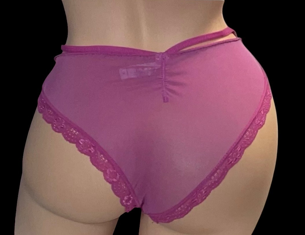 SENSUAL Pink Shiny Lace Front Sheer Mesh Back Bikini Panties Womens M NWOT