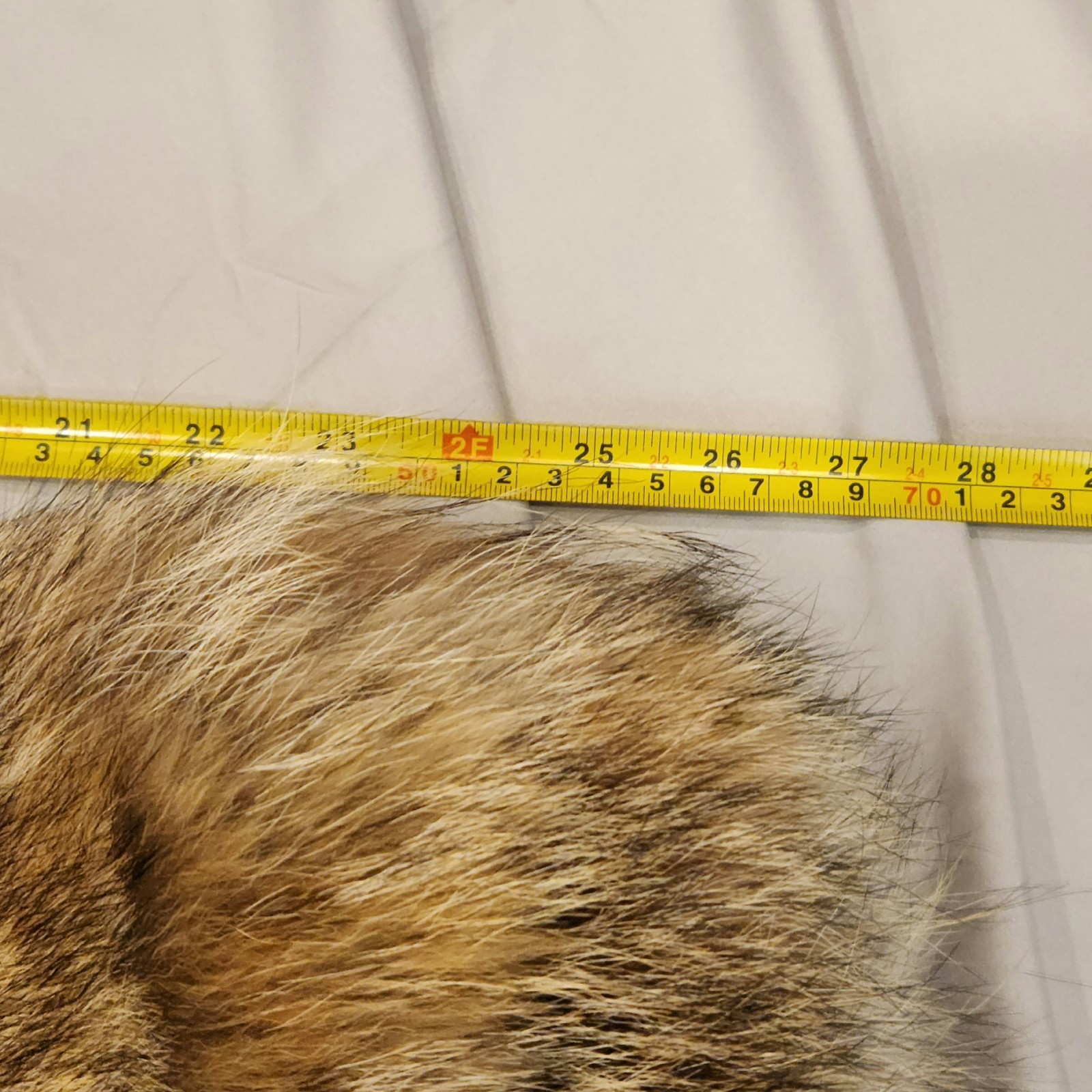 Coat Men’s XL Vintage Fur Coyote Fasion Winter Wear