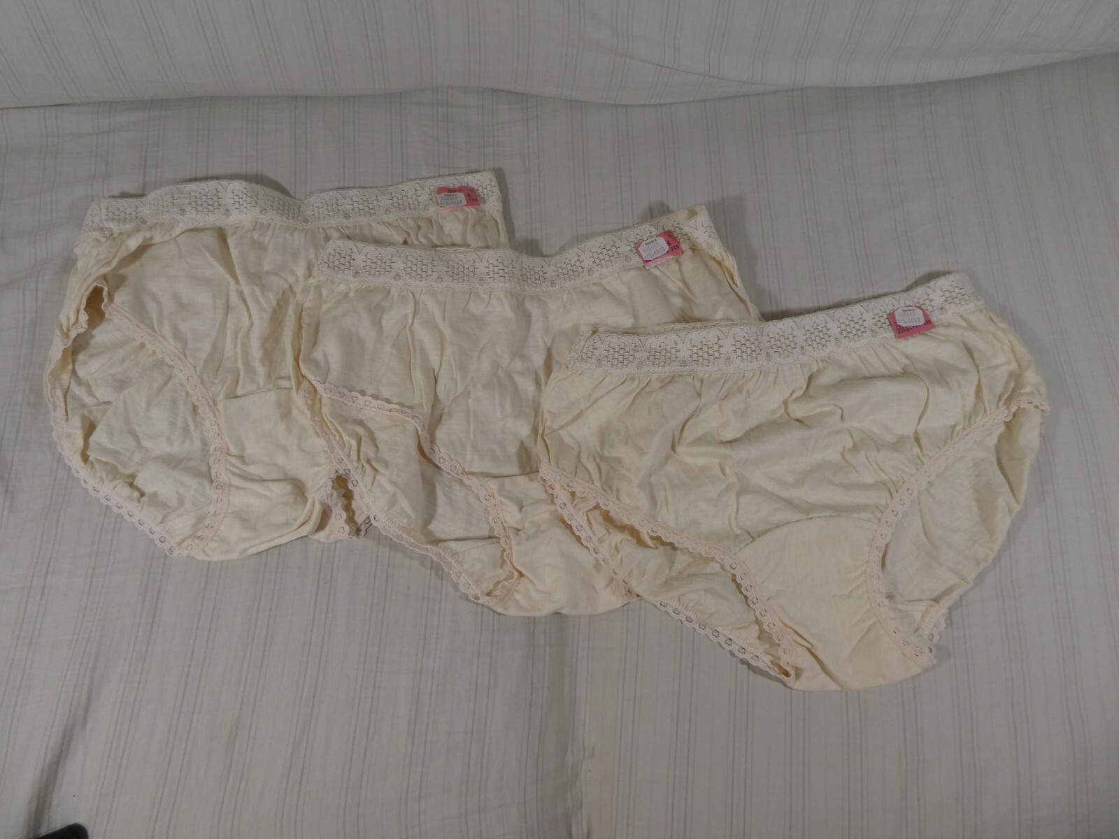 NWT Vintage Dayton’s BLUSH Brand High Cut BRIEF Panties Lace Cotton Sz 6 USA﻿ I1