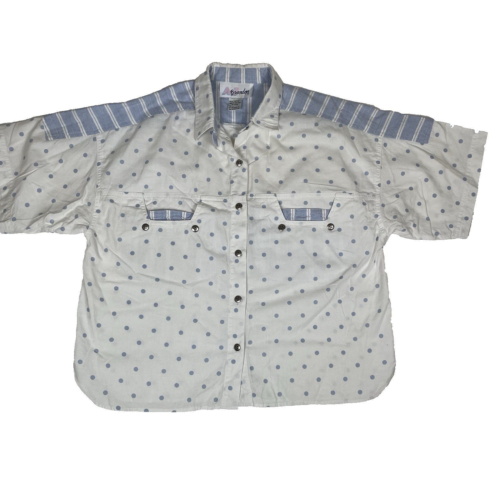 AJ Brandon 80’s Pleated Shorts(13/14) and Shirt(L) Vintage Set Blue and White