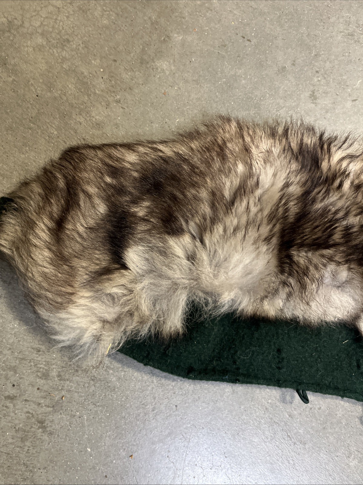 VTG 1940s Hunter Green Wool & Fur Replacement Hood Button Front Loop Attachments