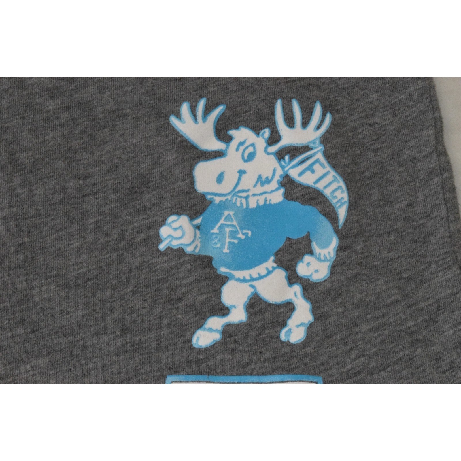 Vintage T-Shirt Abercrombie & Fitch Size XS Y2K Gray Ultra Low V Neck Moose 1892