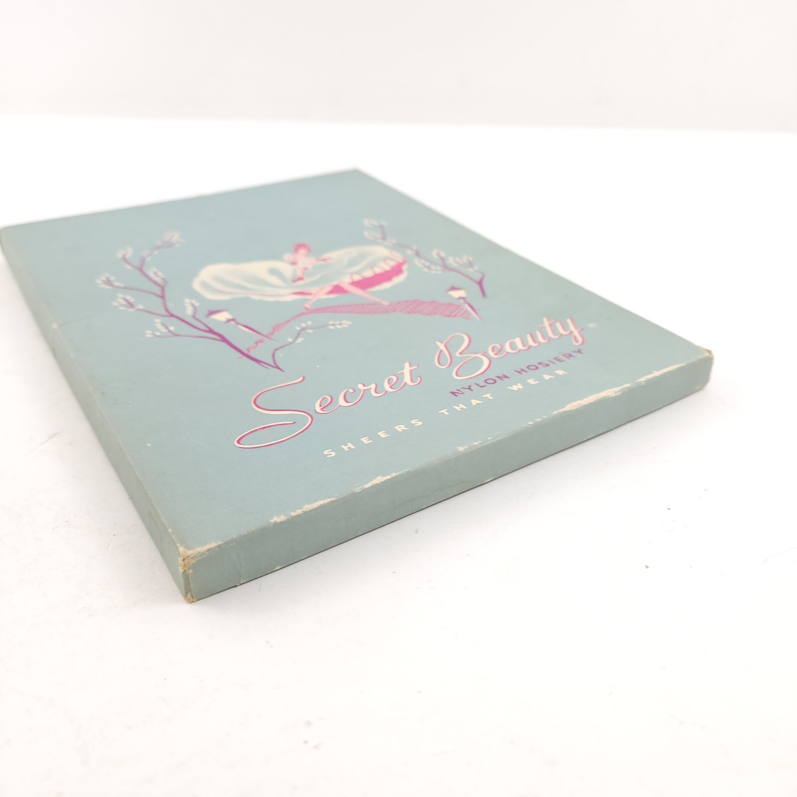 Secret Beauty Cantrece II Vintage 100% Nylon Hosiery 150 Pacific 10 Du Pont