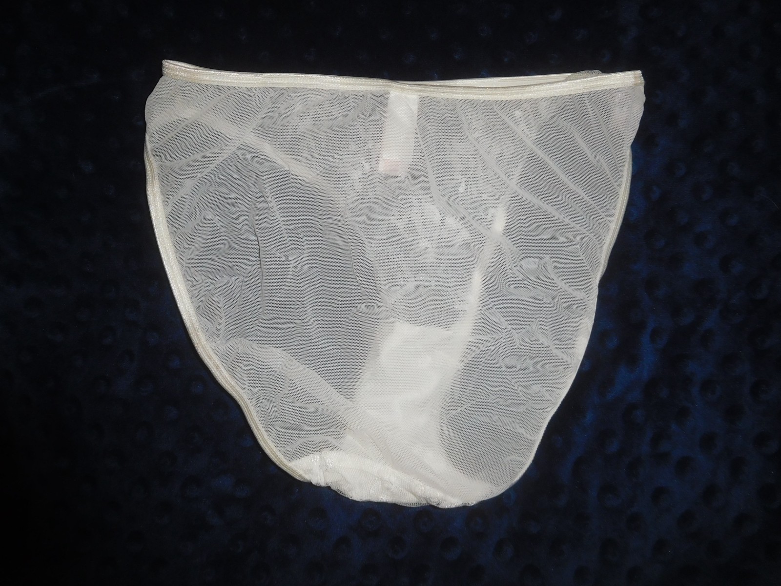 Vintage Parisa by Amir White Sheer Mesh & Lace Bikini Panties M NWOT