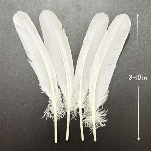 50pcs Feathers 8~10 in,Beautiful Bulk Long Feather for Crafts（21 White
